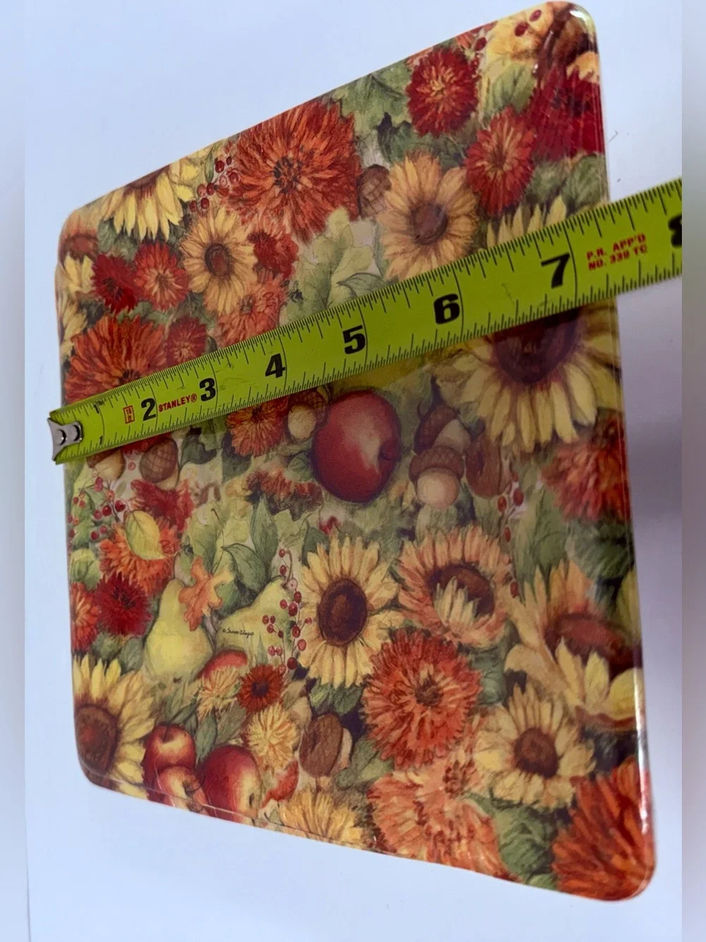 2 Square Salad Paper Plates Boston International 8-Count 7